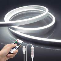 LED Neon Strip Light 5V USB with RF Remote Contro Touch Sensor Dimmable Switch 120LED/m Flexible Rope Tube Home Kitchen Decor