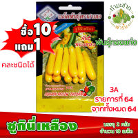 (ซื้อ10แถม1) เมล็ดพันธุ์ ซูกินี เหลือง yellow Zucchini ประมาณ 10เมล็ด 3A สามเอ ซูกินี่ ผักสวนครัว เมล็ดพันธุ์พืช เมล็ดผัก เม็ดผัก พืชผัก