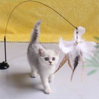 Interactive Feather for Cats Tease Bite Resistant with Sucker Stick Supplies