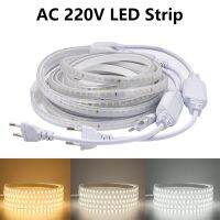 LED Strip Lights 220V 2835 Waterproof LED Tape Ribbon High Brightness 120LEDs/m Flexible Outdoor Lamp With EU Power Plug LED Strip Lighting