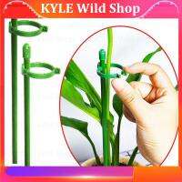 KYLE Wild Shop 5/10pcs plant Flower Potted Support stand Holder Stake Stander Fixing Tool Gardening Supplies Shrub for Orchid Bonsai Daisy q1