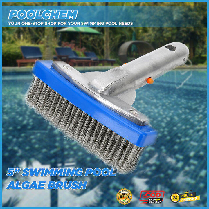 POOLCHEM Algae Brush for Swimming Pool Cleaning 5 inches Stainless