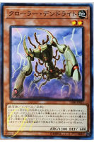 [CIBR-JP021] Krawler Dendrite (Common)