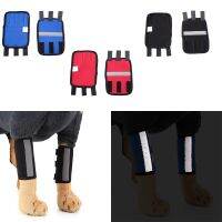 dfh▤✗☈  Knee Dog for Front Leg Reflective Elbow Protector Sleeve Hock Protection Wounds Heals Sprains Helps Supplies