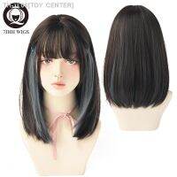 7JHH WIGSTORE 2021 NEW Style Top Black Double Colors Blue Brown Long Straight Hair For Girls Daily Wear Wig Womens Cosplay Hair [ Hot sell ] TOY CENTER