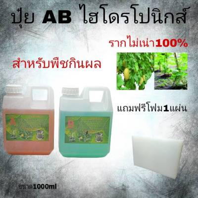 ปุ๋ย ABไฮโดโปรนิกส์ สูตรน้ำเข้มข้น สำหรับเมล่อน หรือพืชกินผล แตงโม แตงกวา ขนาด1000ml A 1ลิตร B 1ลิตร แถมฟรี โฟมน้ำ1แผ่น