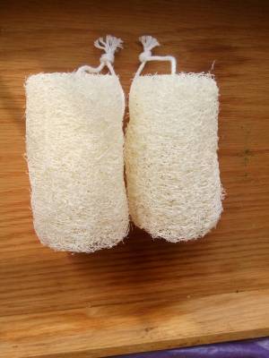[ 2 อัน] ใยบวบขัดตัว ใยบวบขัดผิว ยาว 4 นิ้ว ใยบวบ 100 % นิ่ม ไม่เจ็บ บวบขัดผิว ผิวเนียนใส Natural Loofah Sponge
