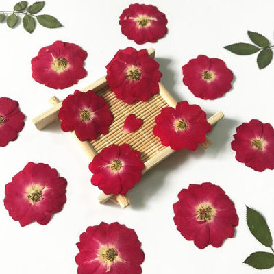 12Pcs/Lot Real Dried Rose Flower DIY Home Ornament UV Resin Mold Jewelry Making