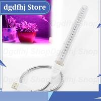 Dgdfhj Shop 21 Led Grow Light USB Portable Plant Growing Light Red Blue DC 5V Full Spectrum Phyto Lamp 21 Leds Flexible Light Indoor