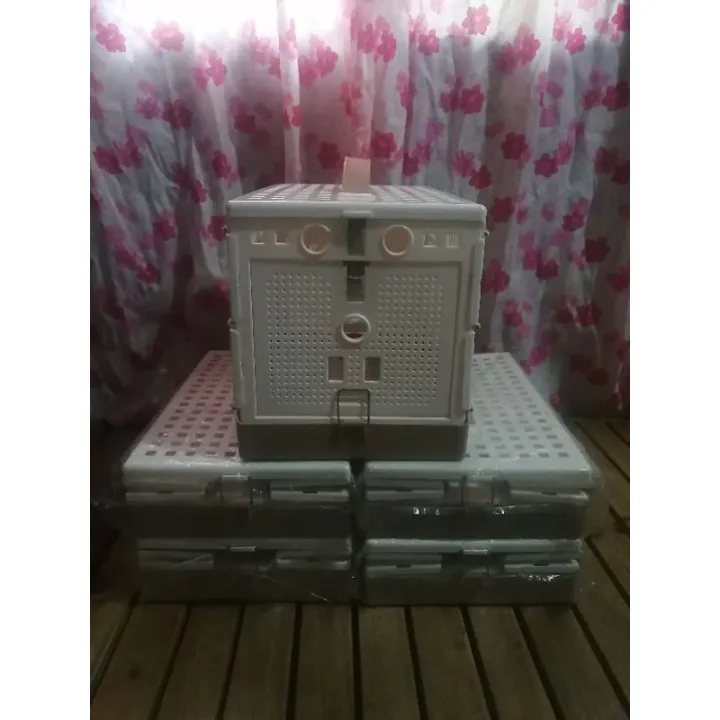 Training Box for Pigeon with FREE Clip Ring Lazada PH