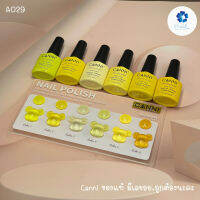 A029 สีโทนเหลือง 6 สี แบรนด์ Canni