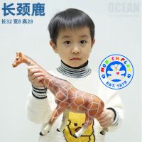 Munich Play - โมเดลสัตว์ Giraffe ยีราฟ ขนาด 32.00 CM แบบนิ่ม (จากหาดใหญ่)