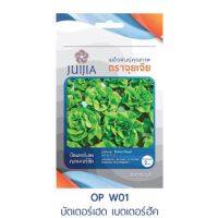 &amp;lt;รับประกันความงอก&amp;gt; เมล็ดพันธุ์ ผักสลัดบัตเตอร์เฮด เบตเตอร์ฮัค ผักคุณภาพ ตราจุยเจีย