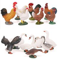 Action FiguresZZOOI Simulation Farm Poultry Animal model Chicken Fowl Duck Goose Rooster Action figures plastic Figurines Farm series Kids Toys Action Figures