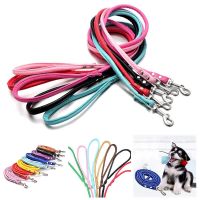 Hot Selling Small Dog Pet Traction Rope PU Round Rope Cat Rope Outdoor Walking Dog Rope Dog Supplies