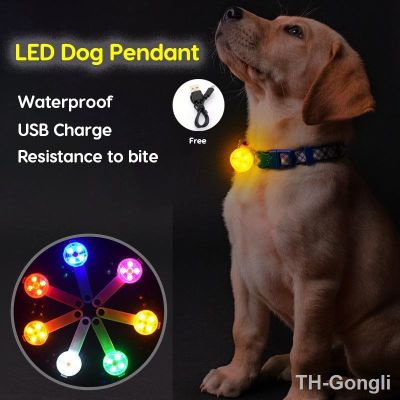 【hot】♘۞  Flashlight Collar Pendant Night Safety Dogs Guide USB Glowing Accessories