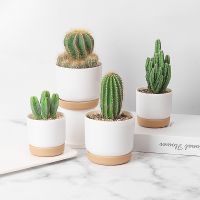 【YF】▤  Large/small Succulent Imitation Plastic Pot Cylinder Pots Cactus With Drainage Hole