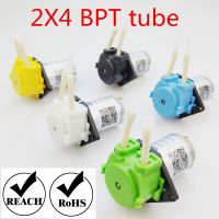 【✲High Quality✲】 zhangxianz หัวจ่ายเครื่องปั๊มของเหลว Colour Diy 12V Dc สำหรับตู้ปลาห้องปฏิบัติการวิเคราะห์น้ำพร้อม Bpt 2*4หลอดและตัวเชื่อมต่อ