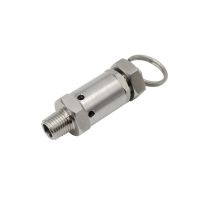 Stainless Steel Safety Valve With Lock Nut SS304 2bar/6bar/10bar Male 1/4 1/2 Air Pressure Relief Valve FKM For Air Compressor Plumbing Valves