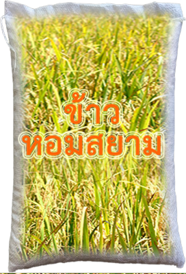 จัดส่งฟรี เมล็ดพันธุ์ข้าว หอมสยาม ชุดทดลองปลูก 1 กก.