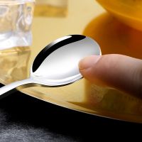 304 Stainless steel dinnerware set spoon tea spoon Dessert coffee ice cream spoons Kitchen accessories Bar tools new long handle