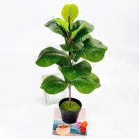 【cw】3550cm Artificial Green Ficus Tree nch Home Garden Plant Long Decoration Fake Balcony Living Plastic Tropical Bedroom R D1l3 ！