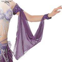 11 Colors Belly Dance Costume Essories 1 Piece Arm Sleeves Wrist Adjustable Chiffon Sleeve Sequins Armbands