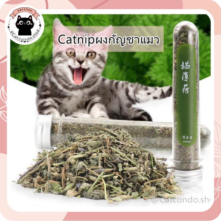 catnip-ออร์แกนิค-ของเล่นแมว-บอลcatnip