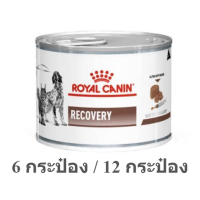 อาหารสัตว์ป่วย พักฟื้น สุนัข/แมว แบบเปียก / Royal Canin Recovery  195 G. มีหลายให้เลือก 12 กระป๋อง