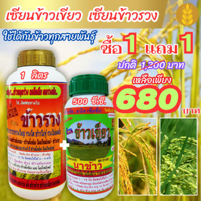 [พร้อมส่ง] เซียนข้าวเขียว 1 ลิตร ซื้อ1แถม1 เซียนข้าวรวง ฮอร์โมนข้าว ยาฉีดข้าว อาหารเสริมพืช ปุ๋ยน้ำ ปุ๋ยทางใบ อะมิโน