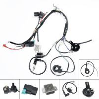 Full Quad Wire Harness Suitable For 50cc 70cc 90cc 110cc 125cc Electric Start For Motorcycle ATV Quad Pit Bike Buggy Go Kart