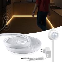 Led strip 5 m 3m Neon Light Lamp Motion Sensor DC 12V PIR Movement Detection Neon strip Kitchen led lights decoration for wall