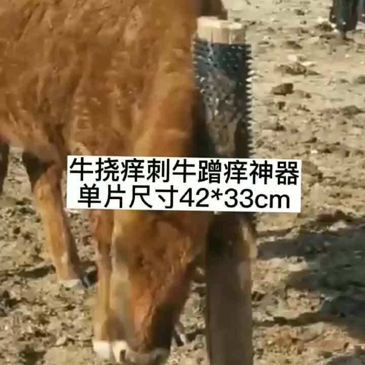 Large Cattle Body Brush One Pile Soft Plastic Material Farm Cattle