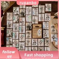 RUPANBO039392692 46pcs DIY วินเทจ สติ๊กเกอร์ ไดอารี่ วางแผน วารสาร แสตมป์โพสต์ย้อนยุค สติกเกอร์พืช สติกเกอร์ตกแต่ง สมุดติดรูป