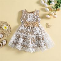 Toddler Baby Girls Princess Lace Dress Summer Khaki Sleeveless Floral Embroidery Tulle Baptism Gowns Kids Clothes Party Dresses  by Hs2023