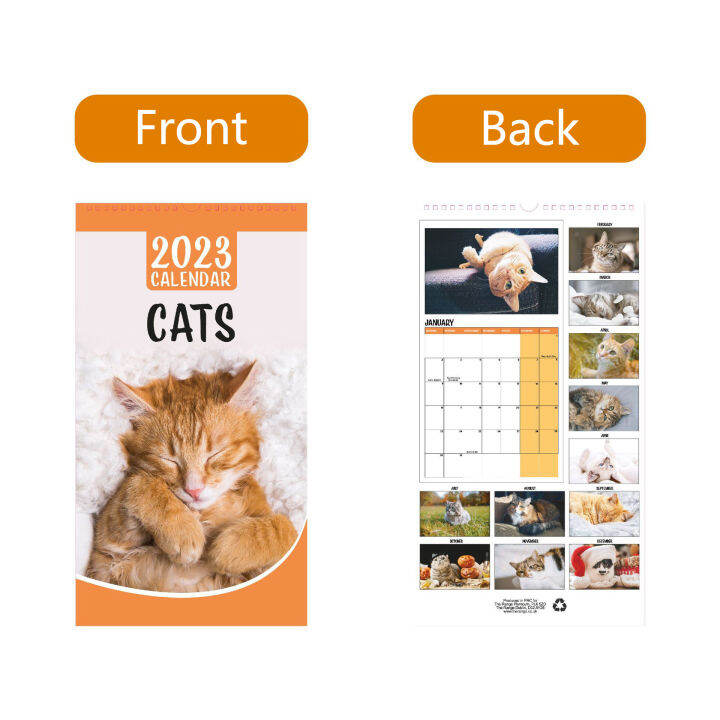 2023 12 16 4x8 9in Series Calendar Thick Animal Months Monthly Wall
