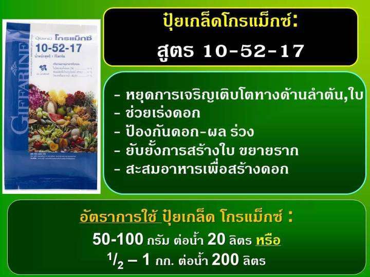 ปุ๋ยเกล็ดโกรแม็กซ์-10-52-17-ปุ๋ย-กิฟฟารีน-สูตรฟอสฟอรัสสูง-หยุดต้น-สร้างดอก-พัฒนาราก