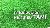 ??โปรพิเศษ หญ้าเทียม ทามิสูง1.8ซม.เขียวล้วน กว้าง1,2ม. ยาวเริ่มต้น1ม.(ตรม.ละ170) หญ้าปลอม สั่งตัดได้ตามต้องการ ถูกๆ ปูพื้น Tami ราคาถูก หญ้า หญ้าเทียม หญ้าเทียมปูพื้น หญ้ารูซี หญ้าแต่งสวน แต่งพื้น cafe แต่งร้าน สวย ถ่ายรุป