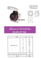 ปลั๊กเพาเวอร์ ตัวเมียฝั่งเฉียง 2 ขา (2P) กันน้ำกันฝุ่น IP67 16A 24V ปลั๊กอุตสาหกรรม POWER PLUG