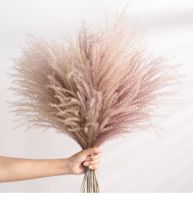 15Pcs Decoration Pampas Grass Large Real Dried Reed Flower Bouquet Home plants Decoration Table Flores Preservadas Natura