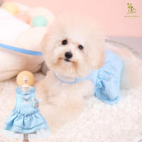 Glitter Pooch ชุดรัดอก สายจูง เสื้อผ้า สุนัข, หมา, แมว, สัตว์เลี้ยง พร้อม สายจูง รุ่น Lady Victorian Blue