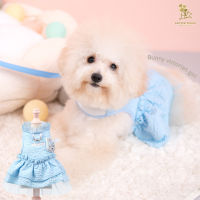 Glitter Pooch ชุดรัดอก สายจูง เสื้อผ้า สุนัข, หมา, แมว, สัตว์เลี้ยง พร้อม สายจูง รุ่น Lady Victorian Blue