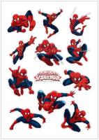 สติ๊กเกอร์ พิมพ์ รูป All Spiderman 001