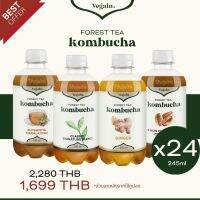 Vegain Forest Tea Kombucha ชาหมักซีรีย์ใบชาป่า - คละได้ 4 รส 24 ขวด (245ml) เซตสุดคุ้ม