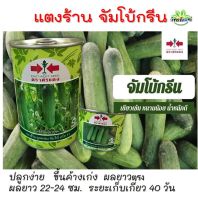 แตงร้าน จัมโบกรีน 100 กรัม (ประมาณ 3,500 เมล็ด) เปอร์เซ็นงอก 99 %  ปลูกง่าย สีเขียวเข้ม น้ำหนักดี  ขึ้นค้างเก่ง  ผลยาวตรง ผลยาว 22-24 ซม