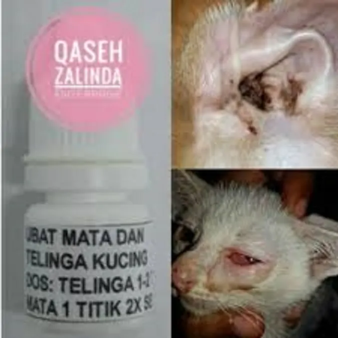 Hot Product Ubat Mata Dan Telinga Kucing Anjing 5ml Lazada