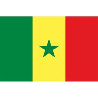 Yehoy hanging 90X150cm Republic of Senegal Flag For Decoration