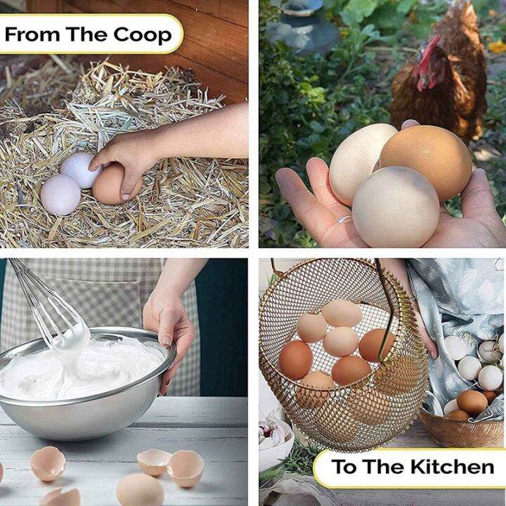 egg-basket-collapsible-mini-egg-storage-for-fresh-eggs-can-easily-load-eggs-for-carrying-and-collecting-eggs