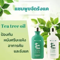 ? Tea tree vital cool ที ทรี ลีฟ ออยล์ เปเปอร์มินต์ ออยล์ และ ยูคาลิปตัส แอ็กซ์แทรค(2ชิ้น แชมพู+ครีมนวด) [สินค้าพร้อมส่ง ไม่ต้องพรีออเดอร์]