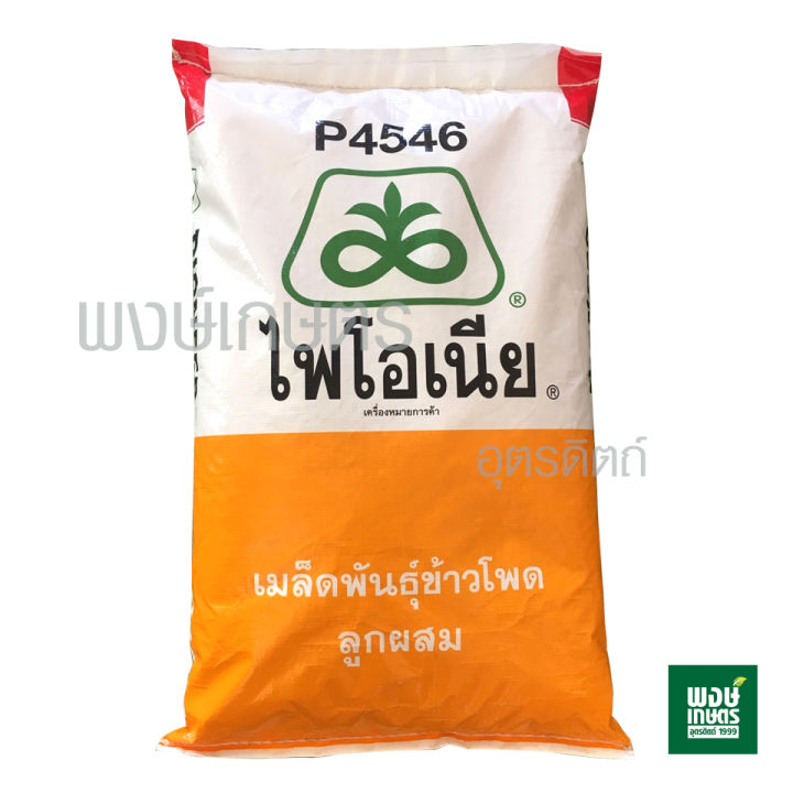 เมล็ดพันธุ์ข้าวโพดลูกผสม-ไพโอเนีย-p4546-ขนาด-3-5หุน-10-kg-ข้าวโพด-ผัก-เมล็ดพันธุ์พืช-ผักสวนครัว-พรรณไม้-พงษ์เกษตรอุตรดิตถ์